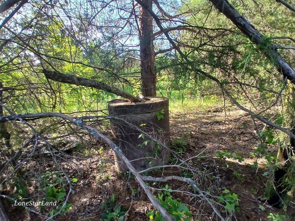 Pittsburg, TX 75686,475 County Road 4421