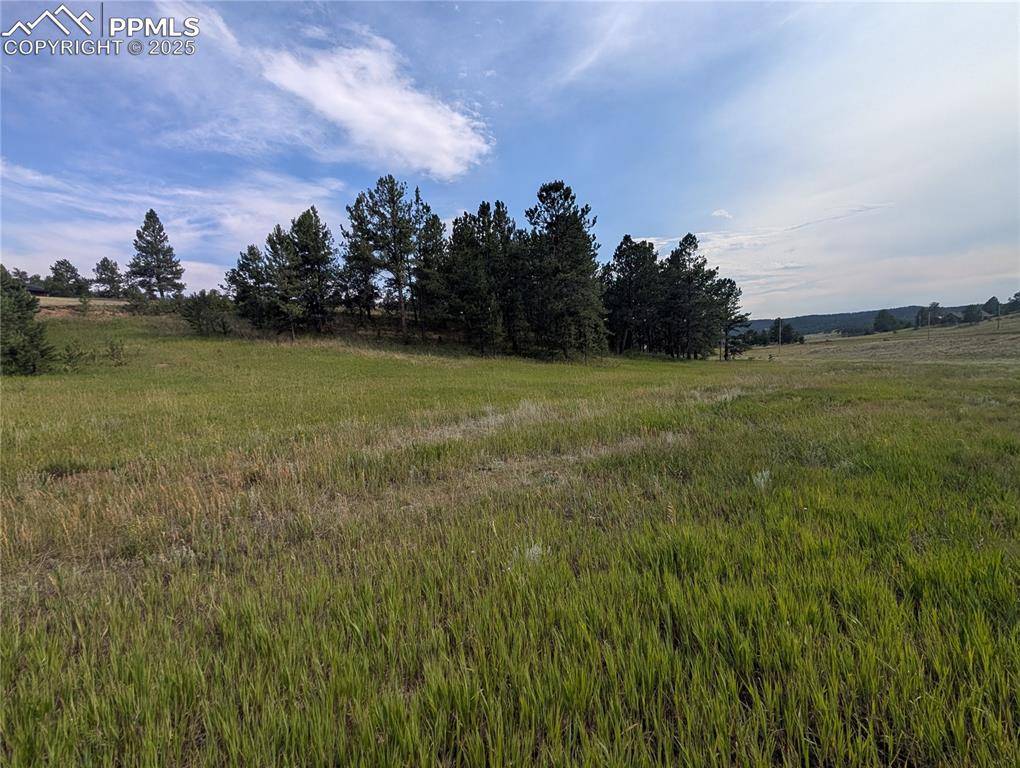 Florissant, CO 80816,1379 S Mountain Estates RD