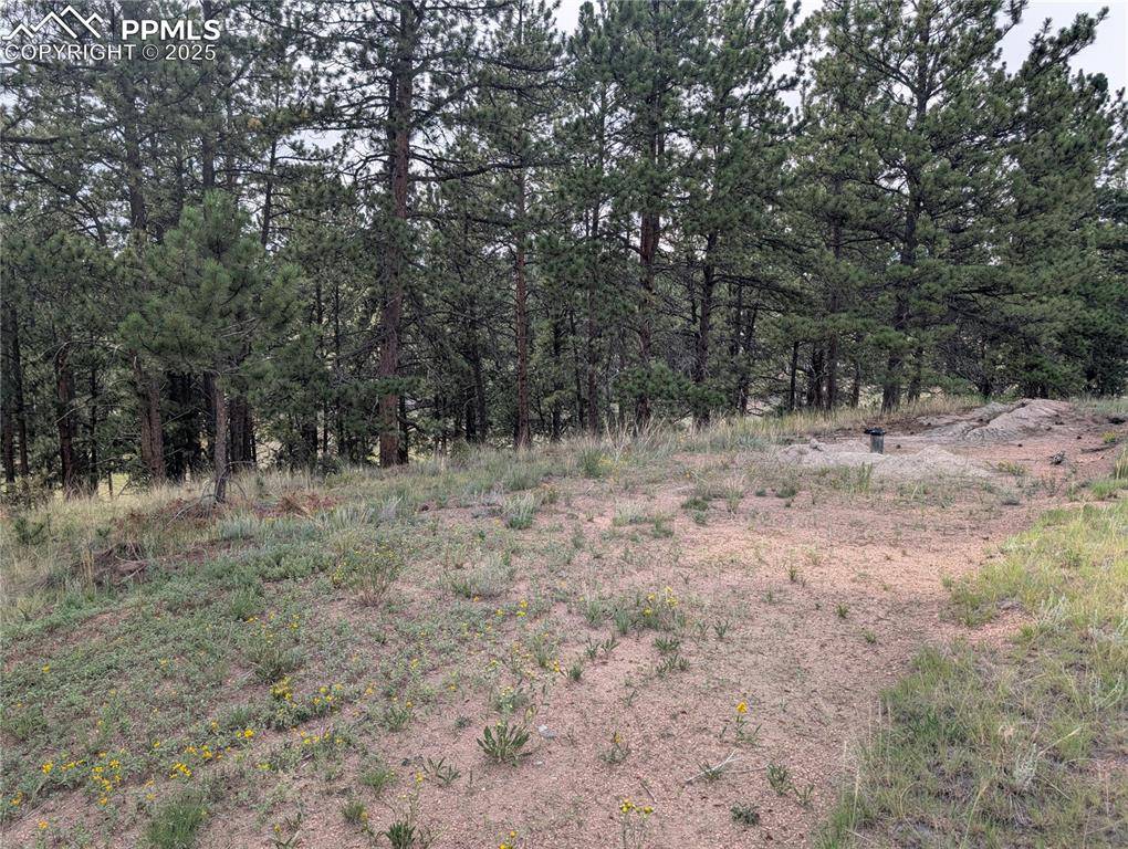 Florissant, CO 80816,1379 S Mountain Estates RD