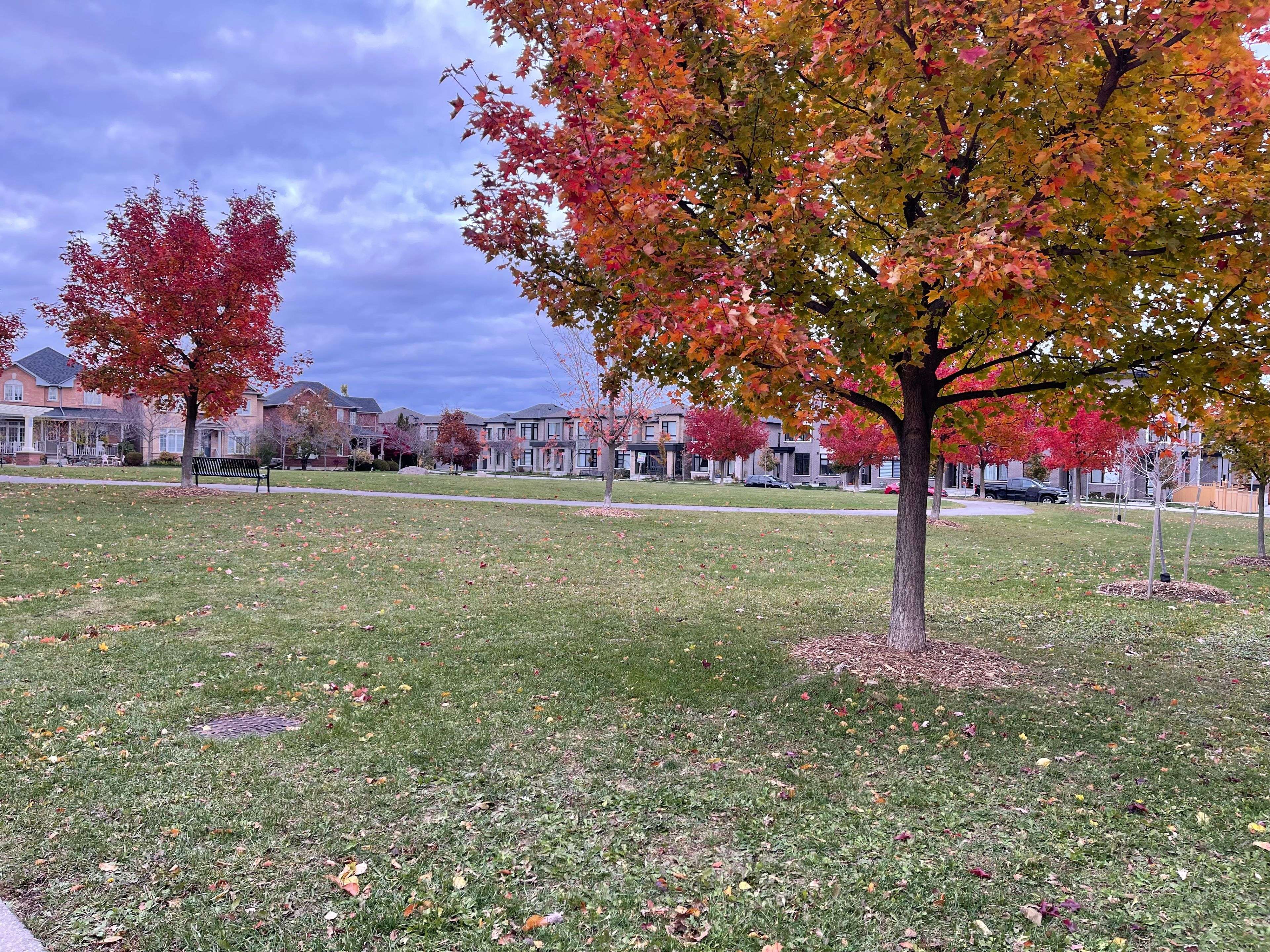 Markham, ON L6B 0K3,2 Hikers LN