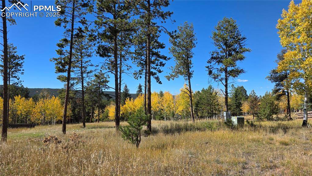 Woodland Park, CO 80863,210 Bridlewood LN