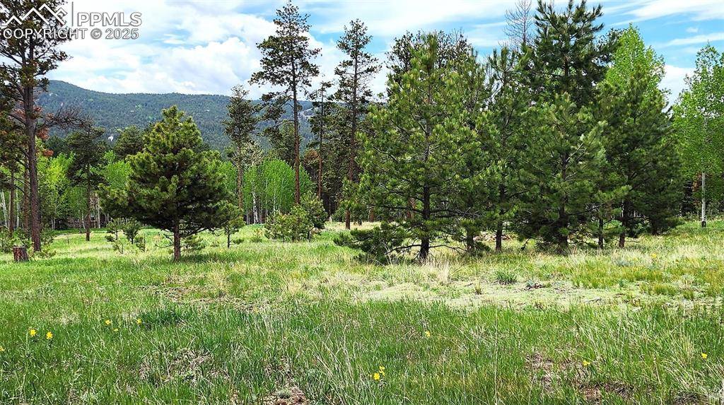 Woodland Park, CO 80863,210 Bridlewood LN