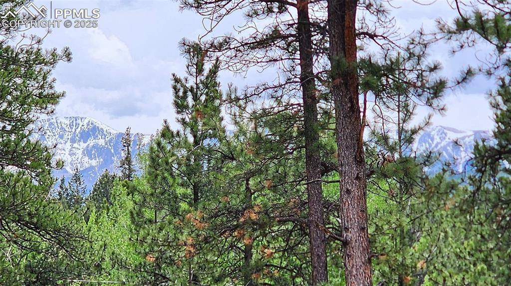 Woodland Park, CO 80863,210 Bridlewood LN