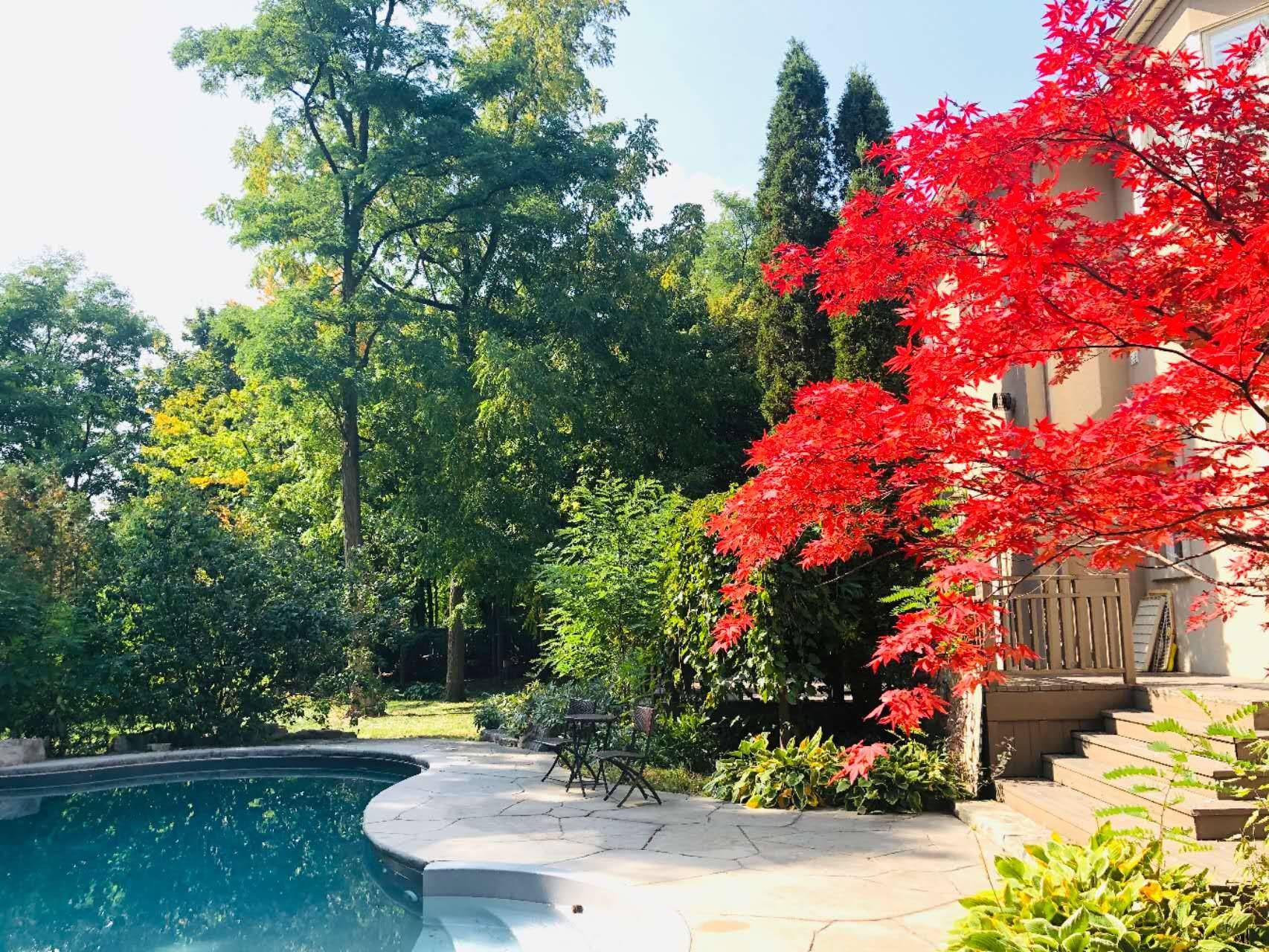 Vaughan, ON L4J 7W4,155 Renaissance CT