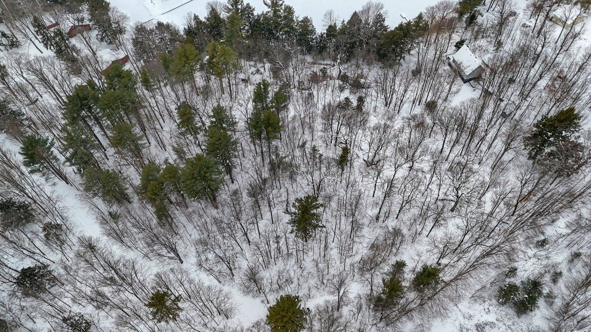 Leeds And The Thousand Islands, ON K0E 1N0,821 Wildlife LN