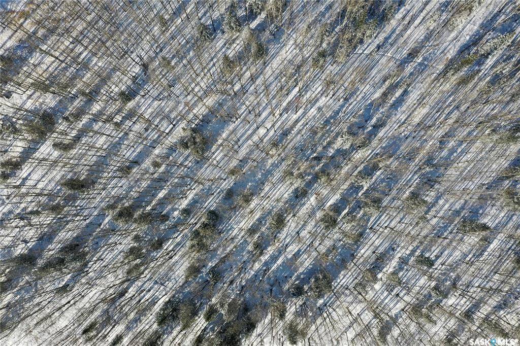 Candle Lake, SK S0J 3E0,120 Aspen WAY