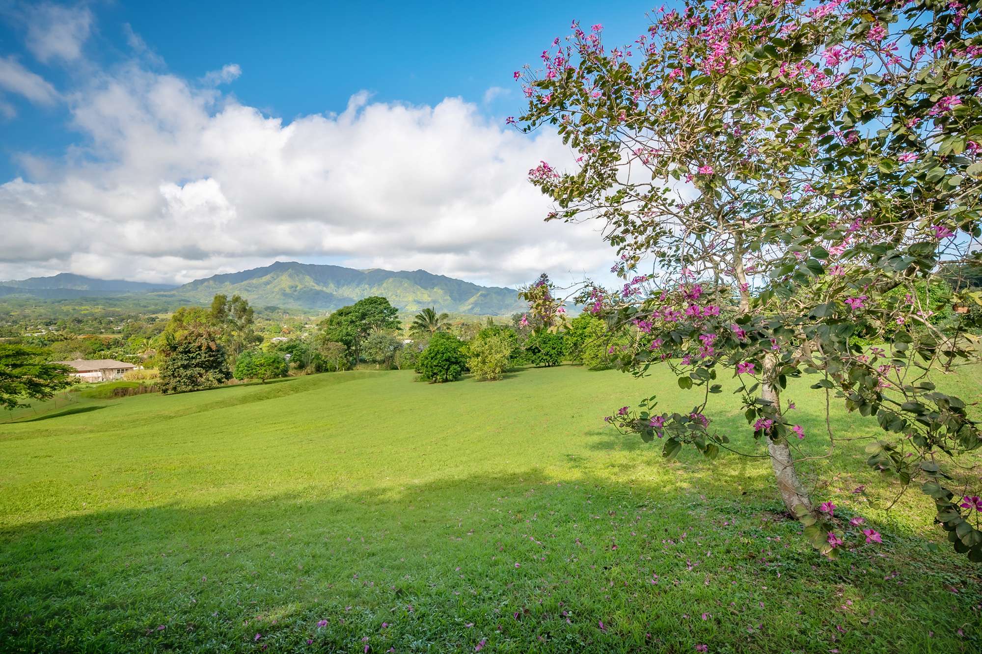 Kapaa, HI 96746,5729-J KOLOLIA PL