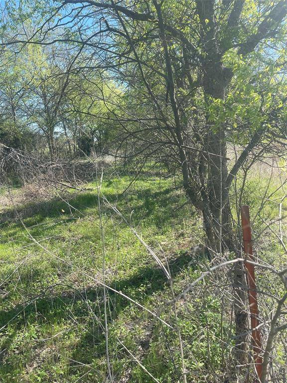 Whitney, TX 76692,514 W Roosevelt Avenue