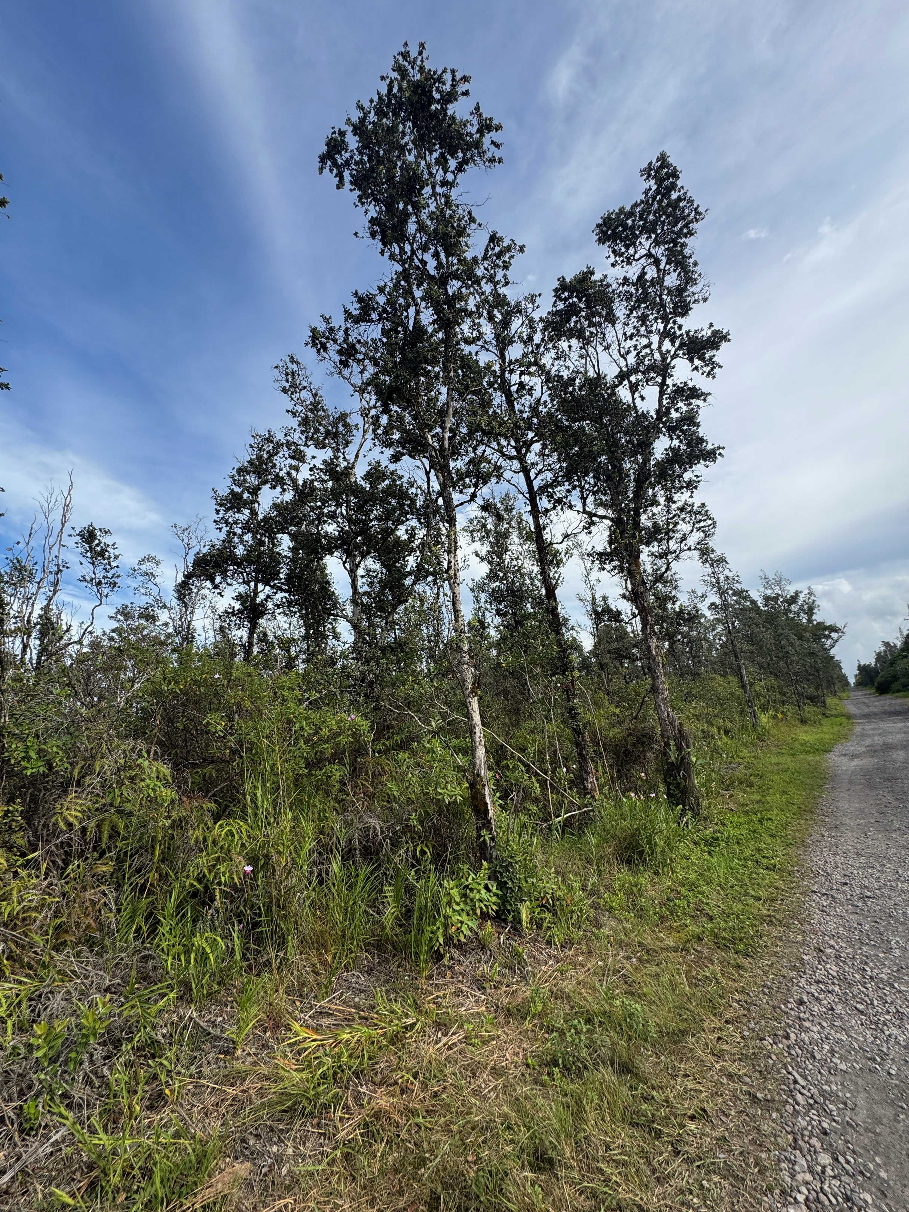 Kurtistown, HI 96760,40TH AVE