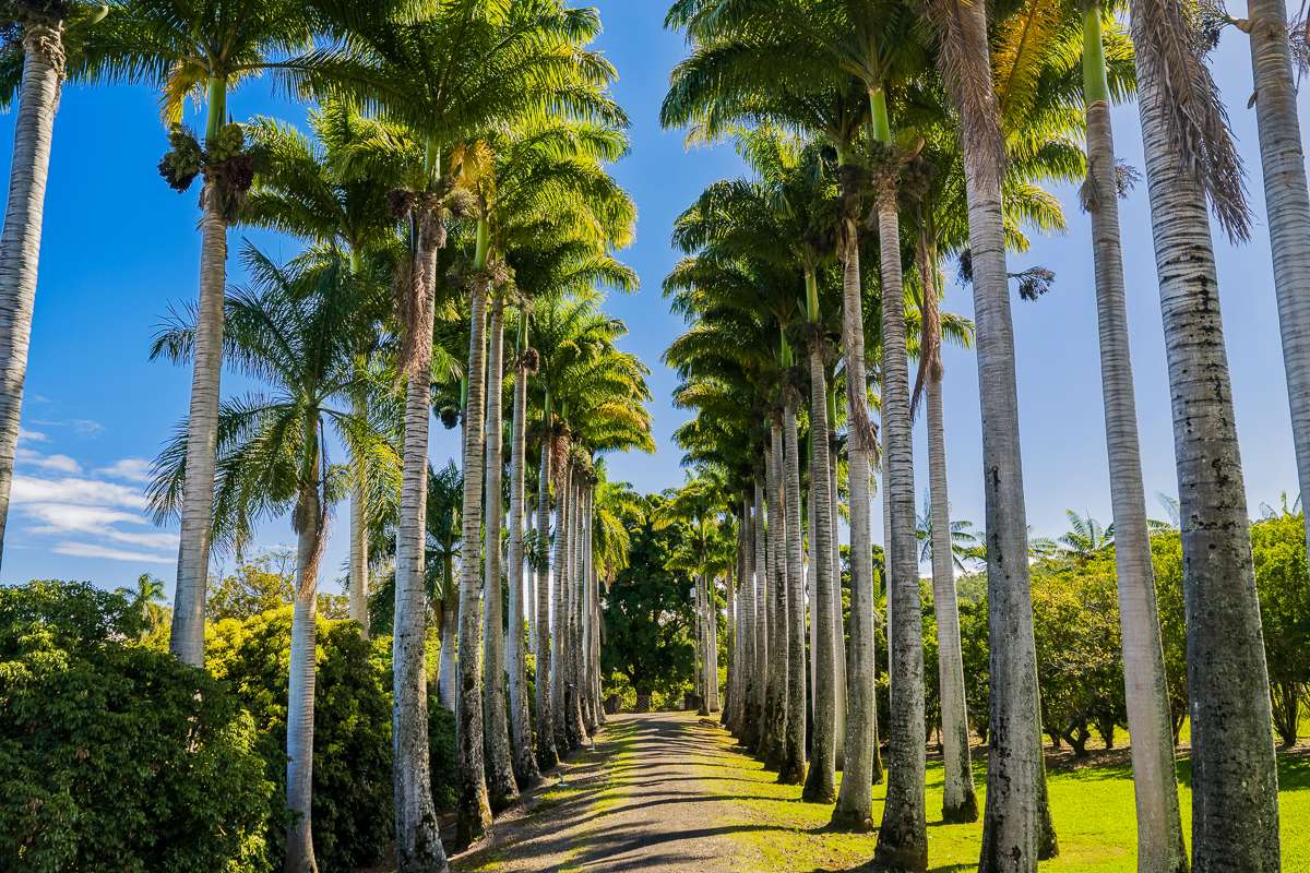 34-144 KAIHUIKI RD, Papaaloa, HI 96780