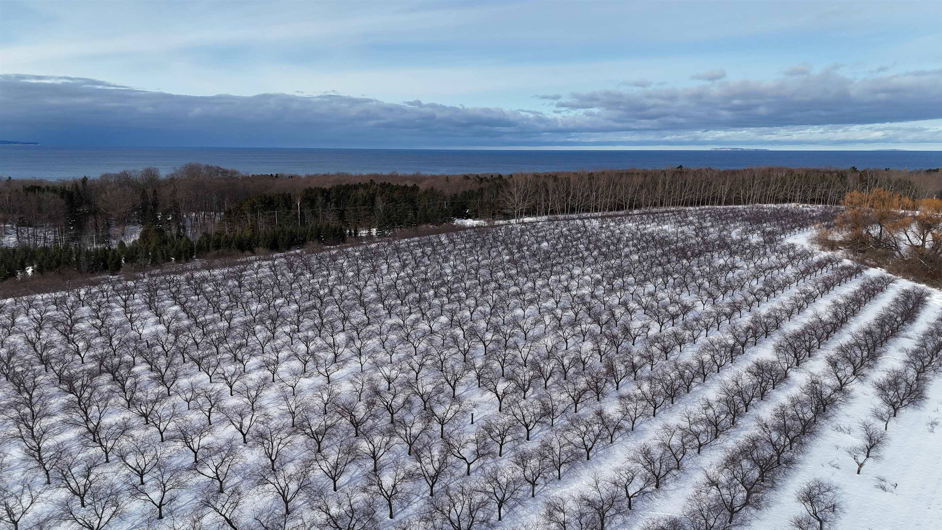 Northport, MI 49670,N Manitou TRL