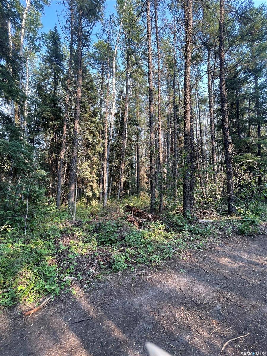 Hudson Bay Rm No. 394, SK S0E 0Y0,Rural Address #Rural