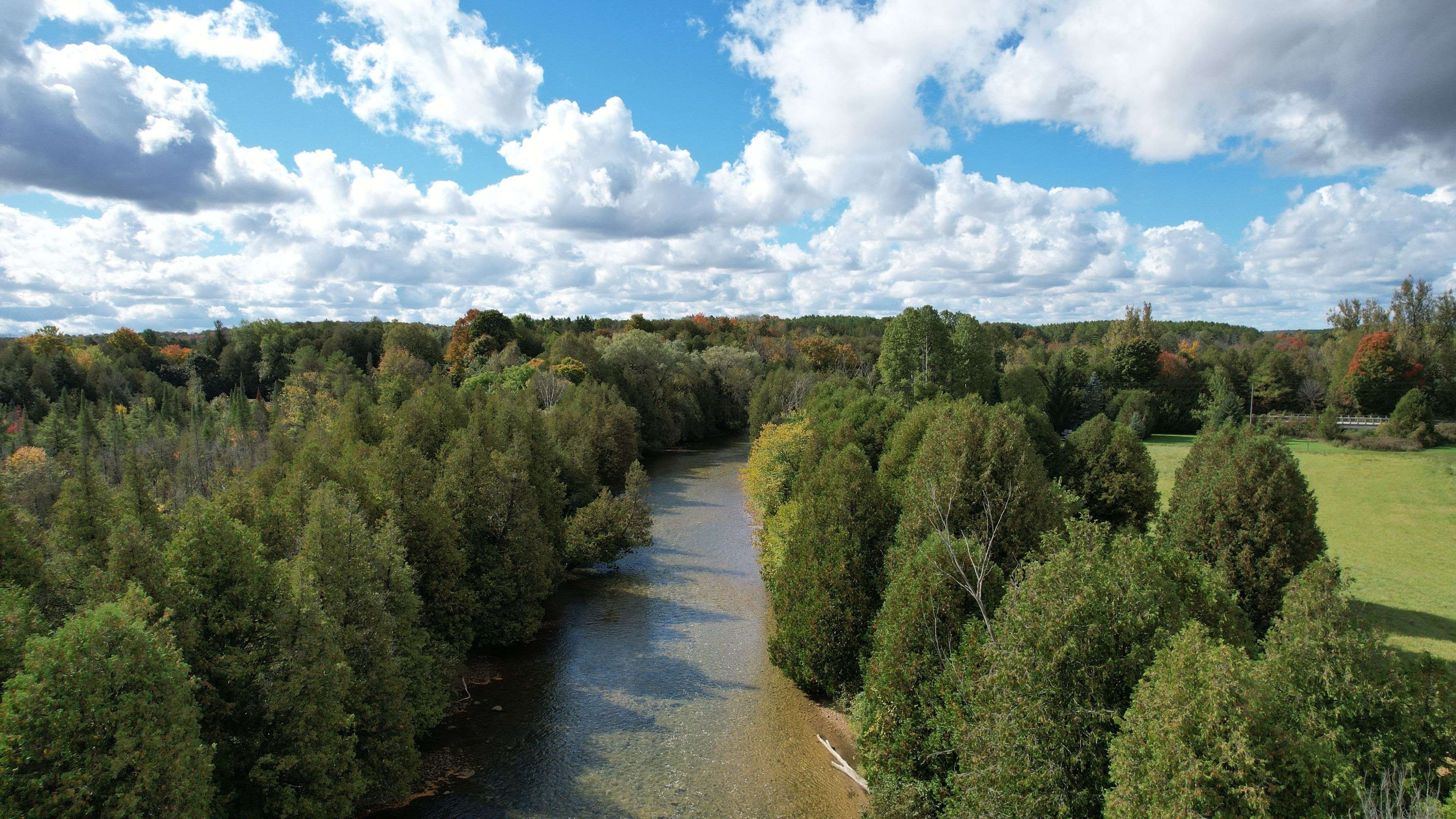 West Grey, ON N0G 1R0,382233 Concession 4 NDR RD