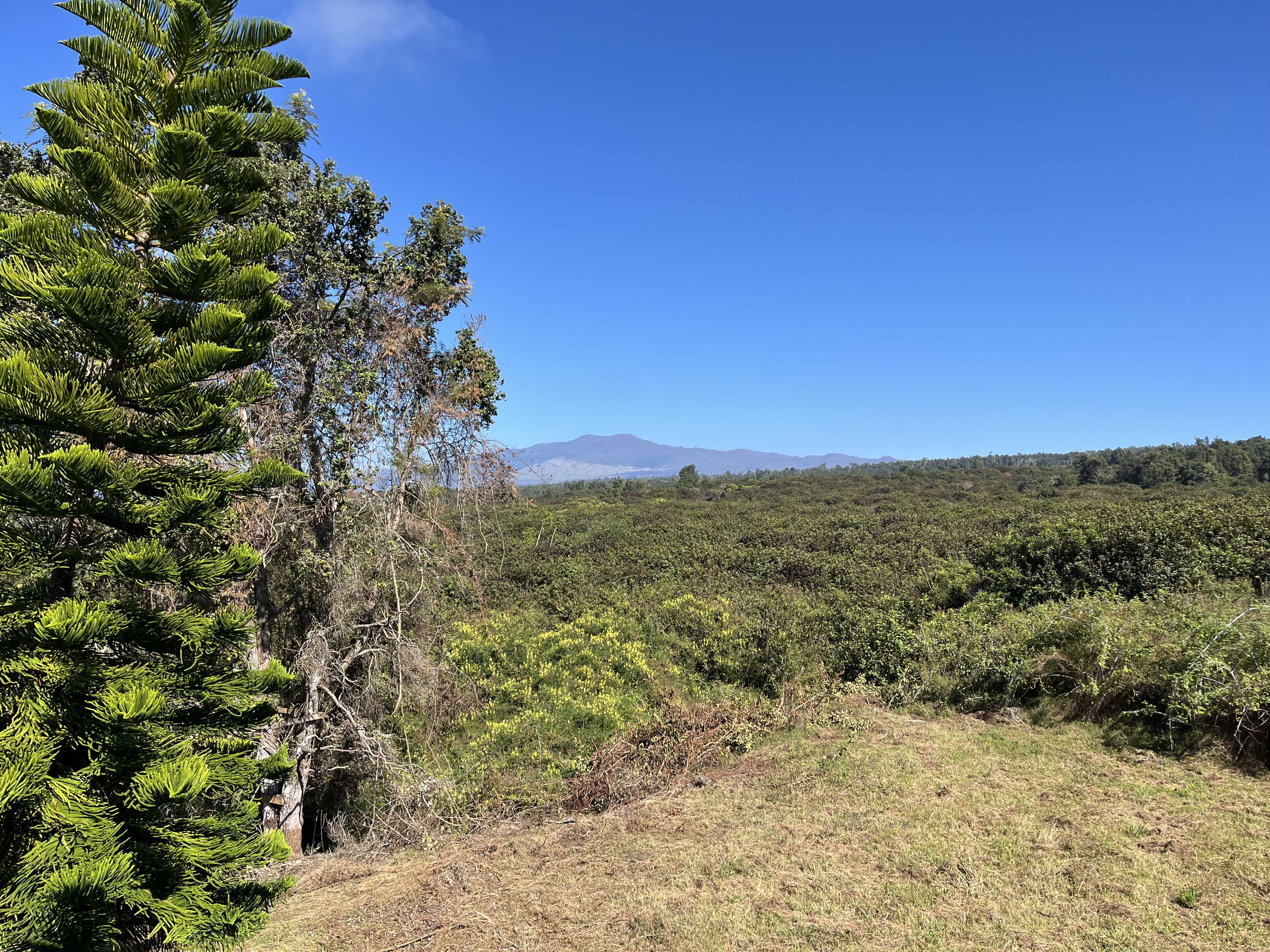 Kealakekua, HI 96750,5 PUU LEHUA DRIVE