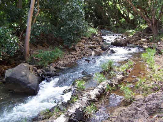 Anahola, HI 96703,201 Anahola Valley Rd