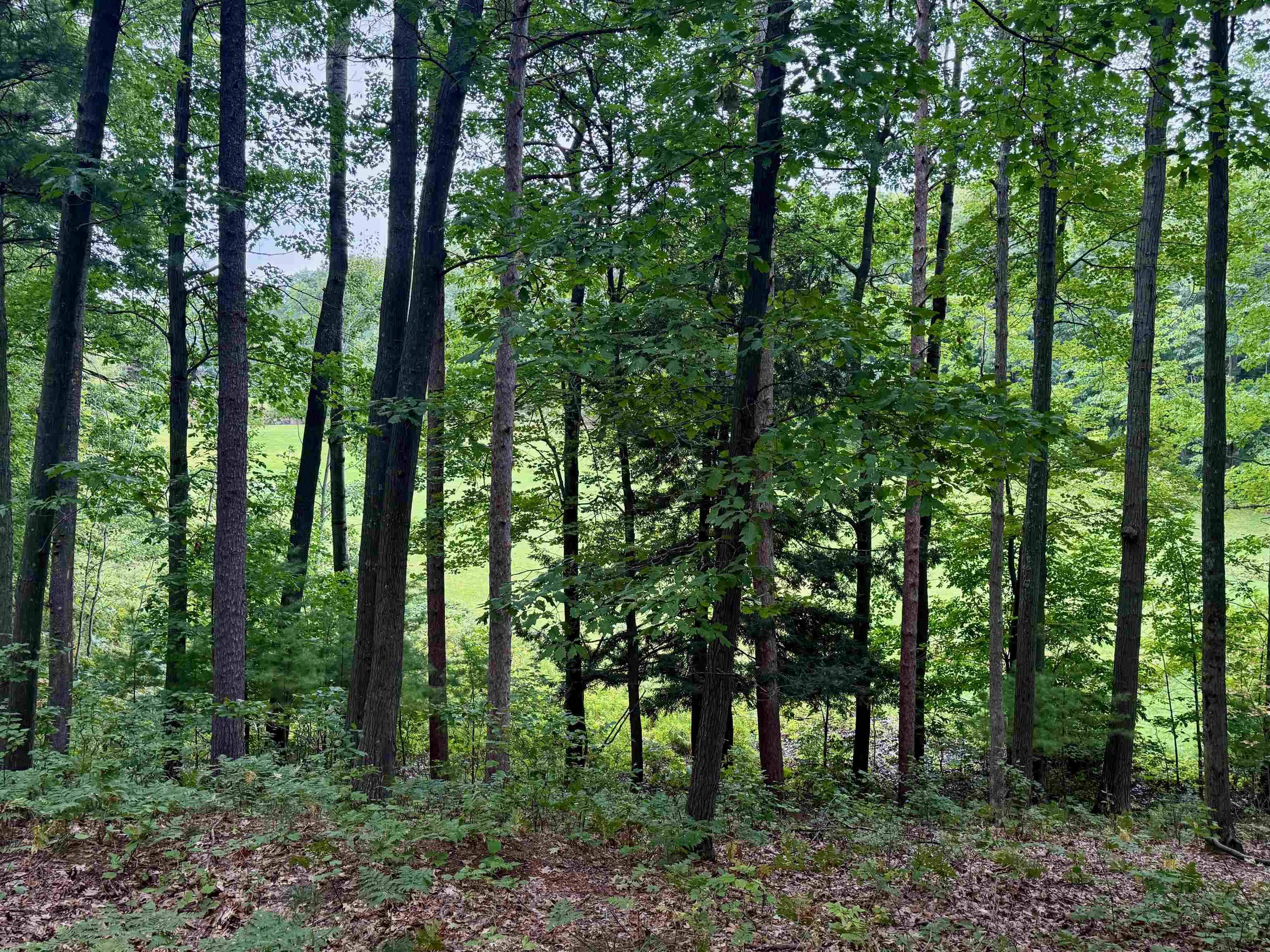 Glen Arbor, MI 49636,35 Brook Hill Cottages