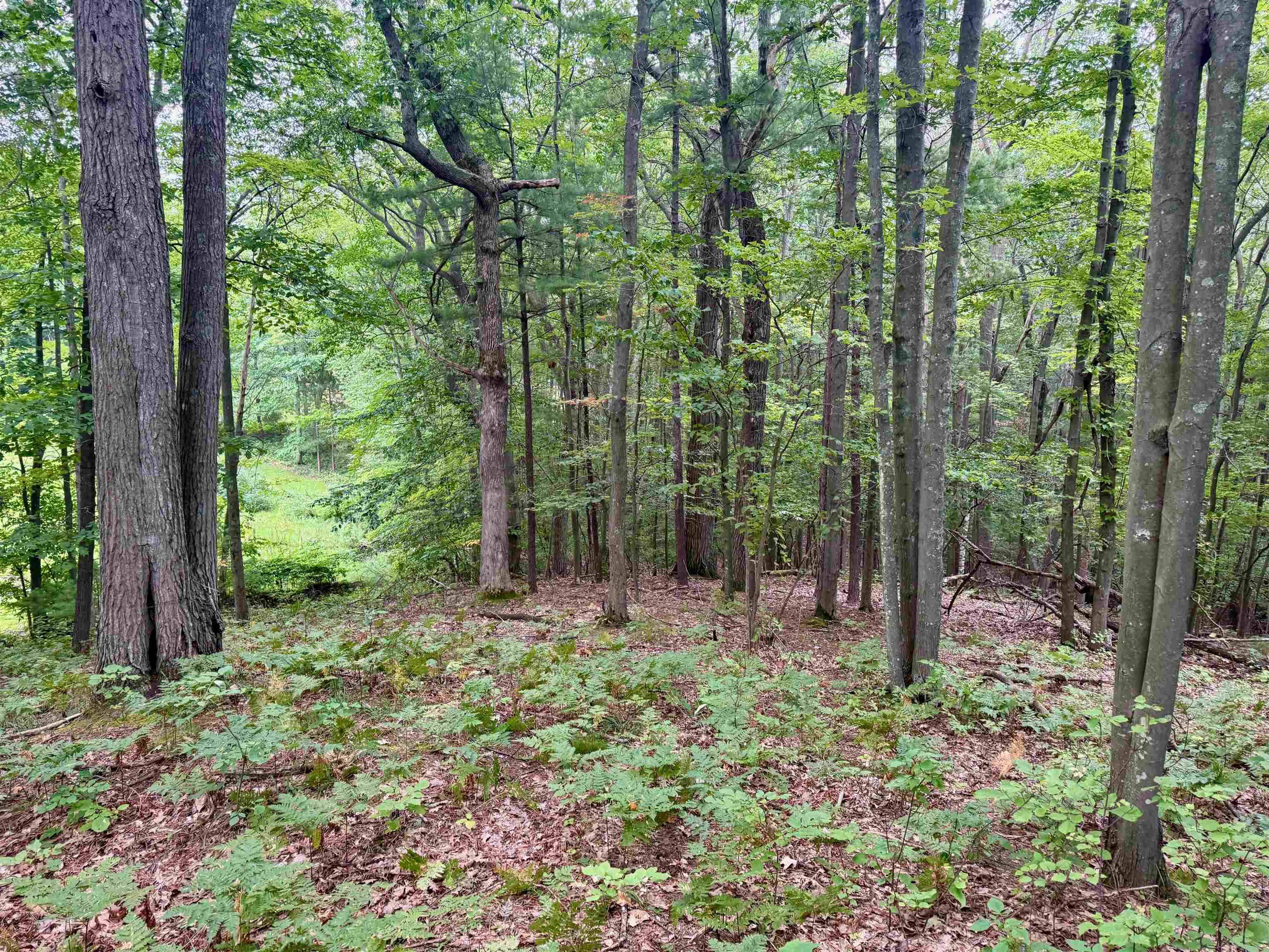 Glen Arbor, MI 49636,35 Brook Hill Cottages