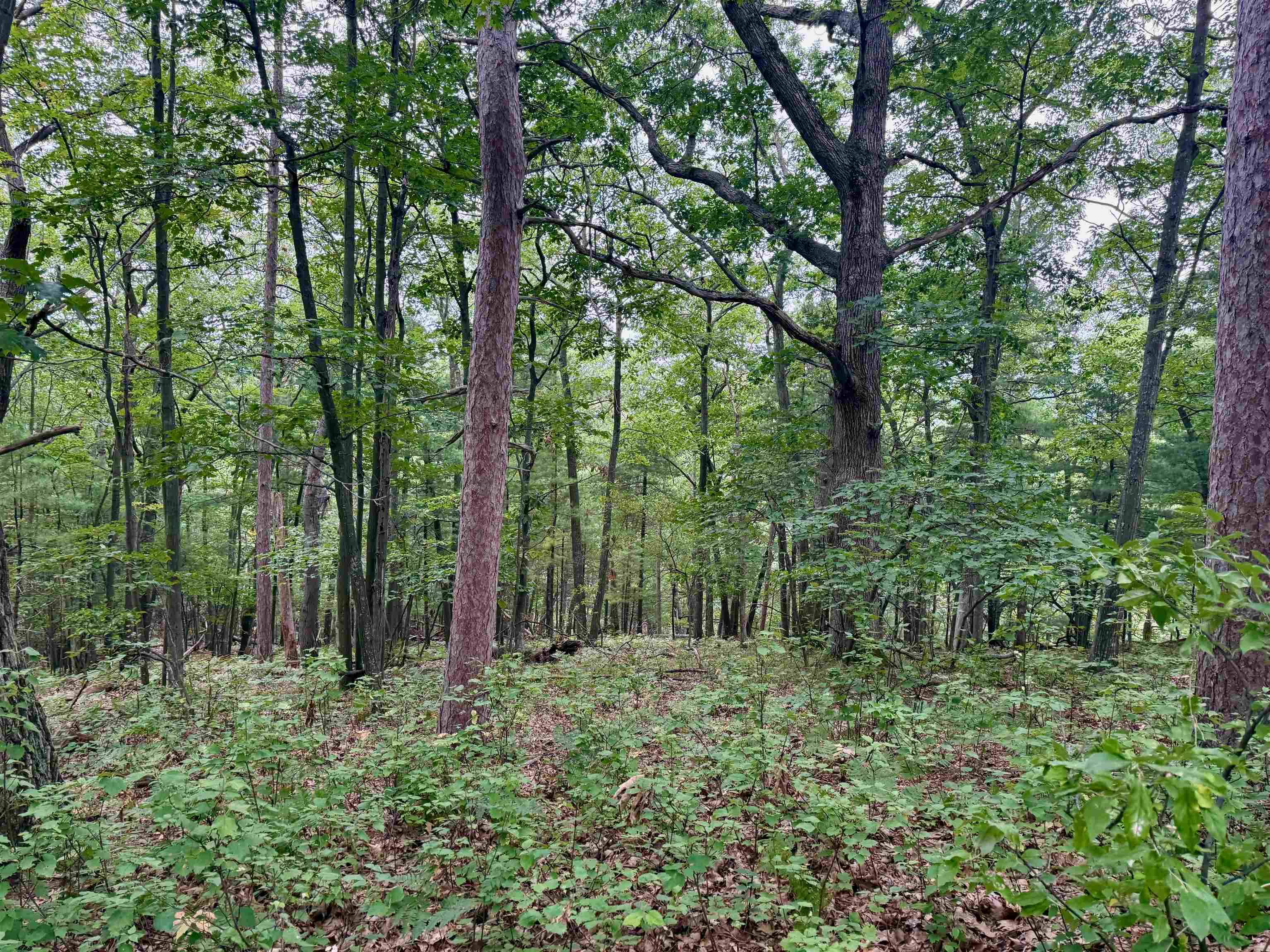 Glen Arbor, MI 49636,35 Brook Hill Cottages