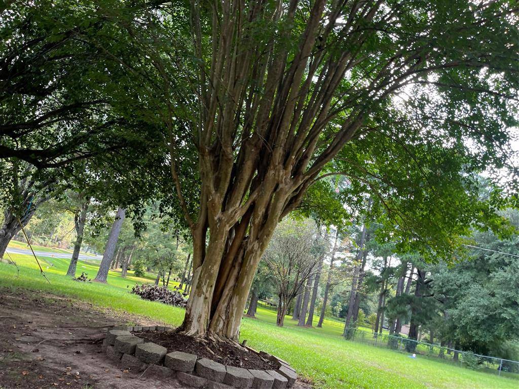 Benton, LA 71006,1401 Linton Road