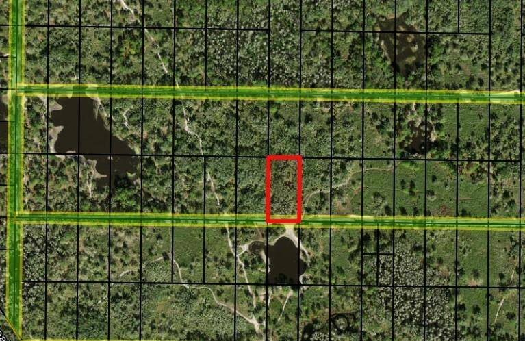 Kathleen, FL 33849,0 County RD 54 E
