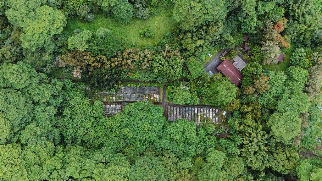 Kurtistown, HI 96760,17-856-A OLAA RD