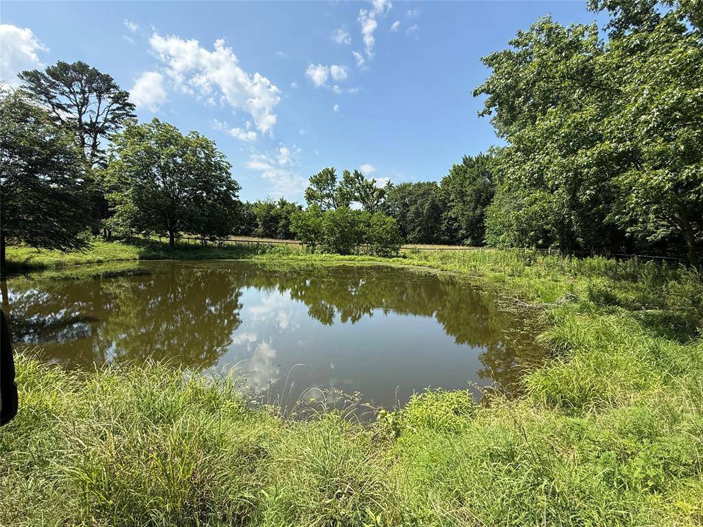 Mineola, TX 75773,1708 S US Highway 69