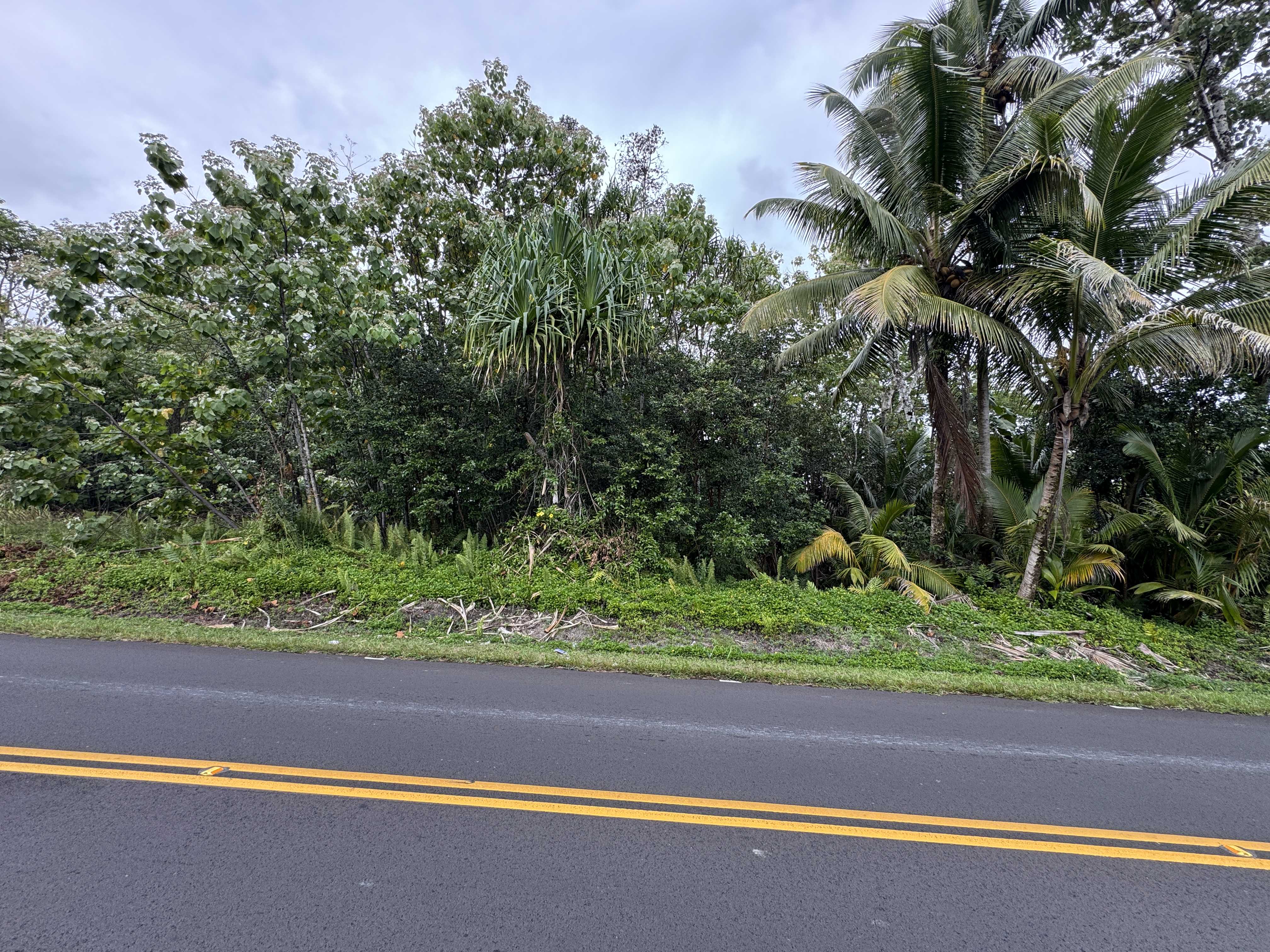 Pahoa, HI 96778,KAHAKAI BLVD