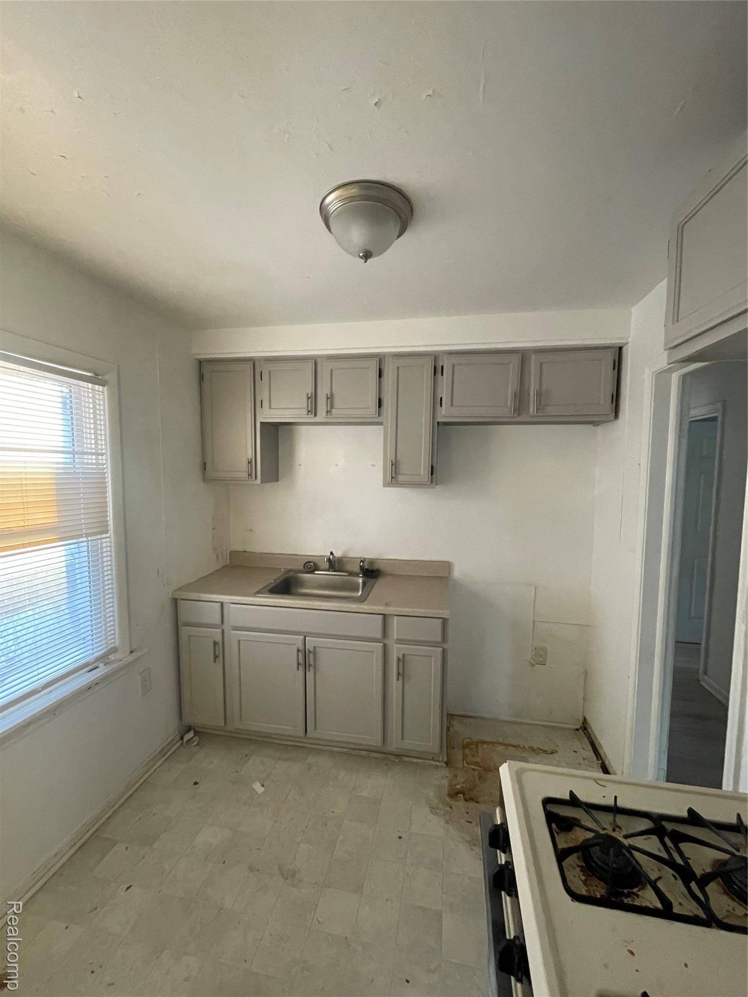 Detroit, MI 48228,8245 Brace ST