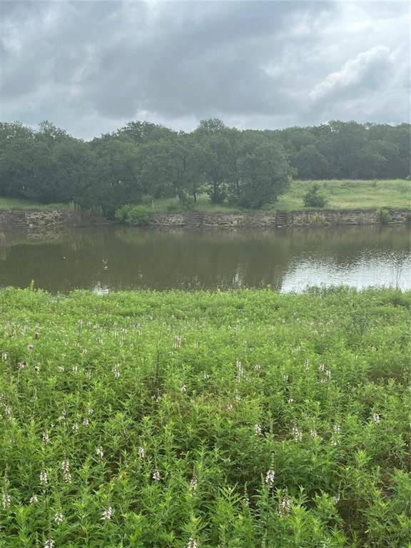 Chico, TX 76431,155 County Road 1742