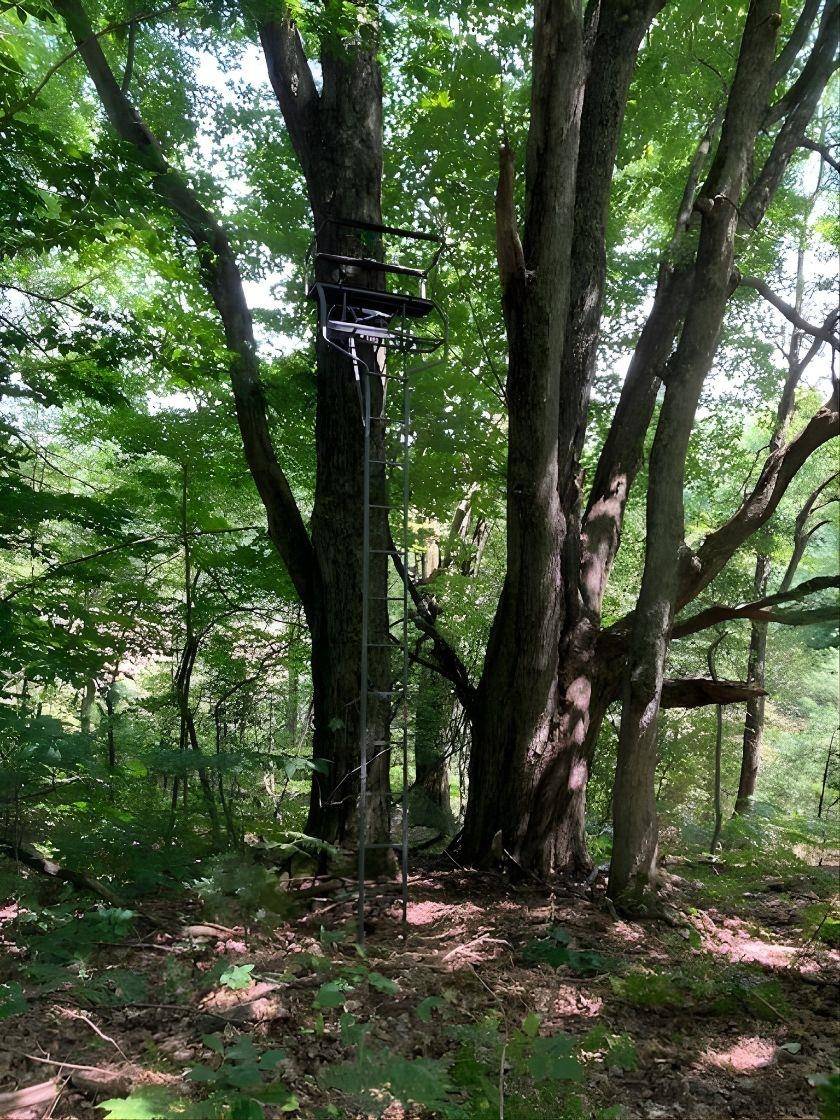 Traverse City, MI 49684,20047 Davis Lake RD