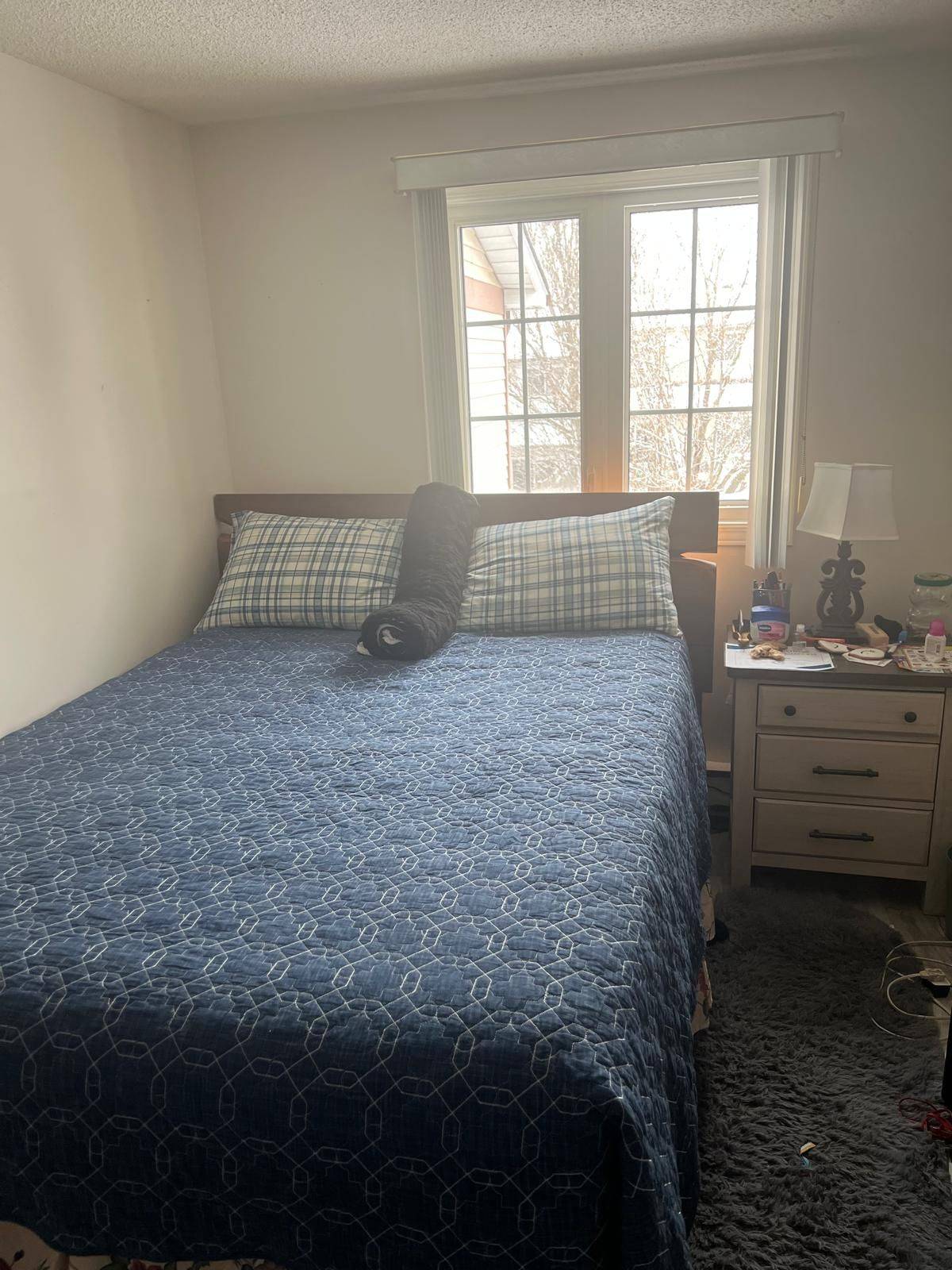 Oshawa, ON L1J 6L3,547 Dorchester DR