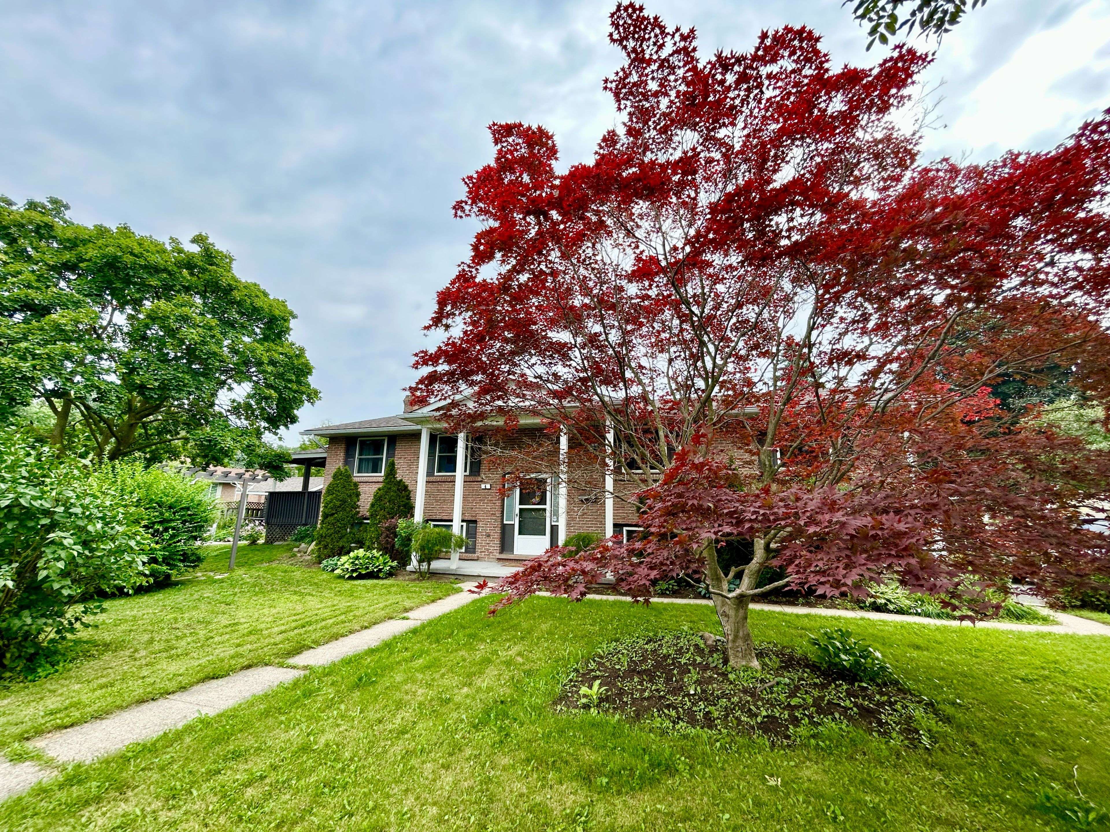 Kitchener, ON N2M 2Z2,4 Fernwood PL #Lower