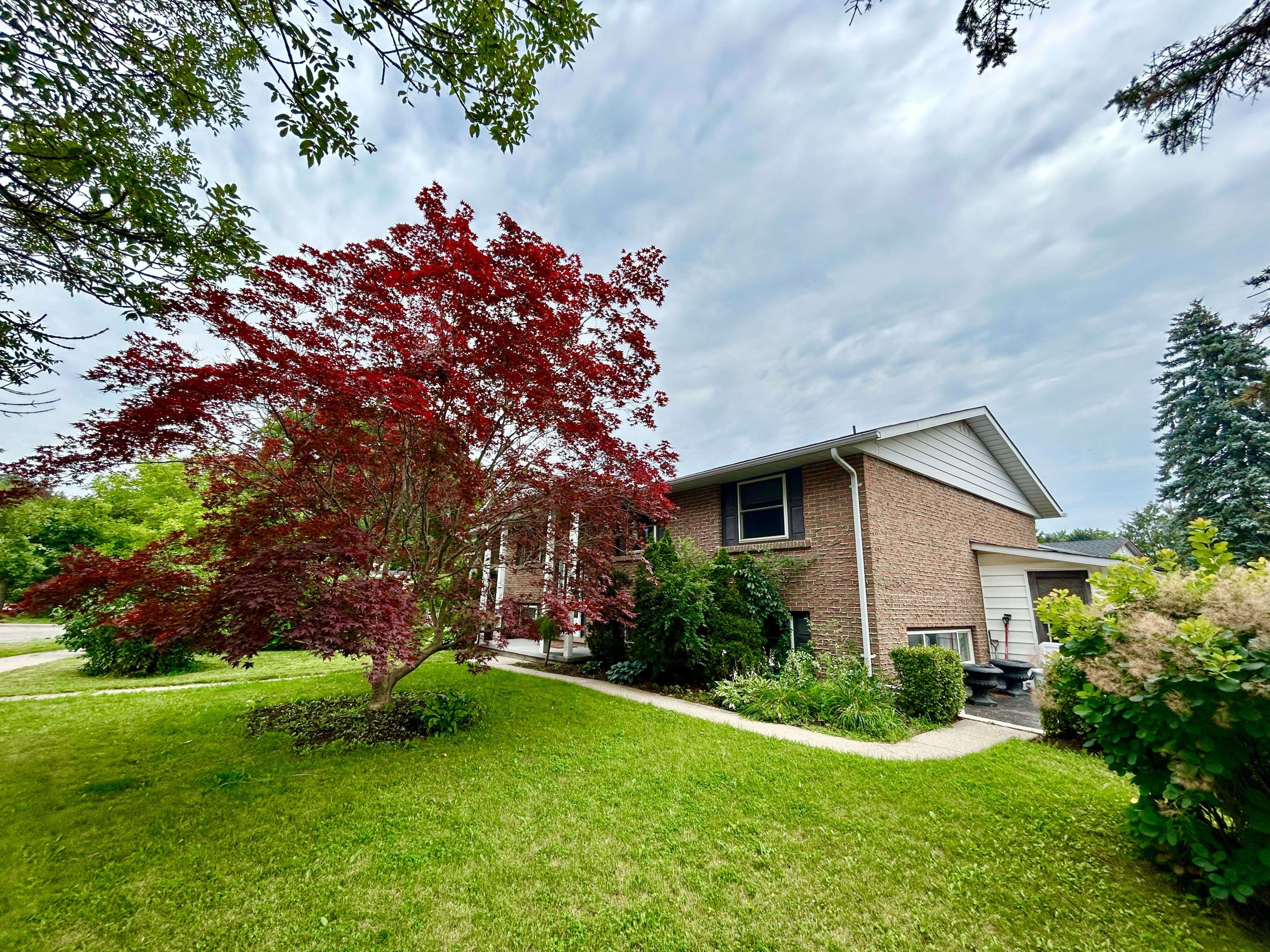 Kitchener, ON N2M 2Z2,4 Fernwood PL #Lower