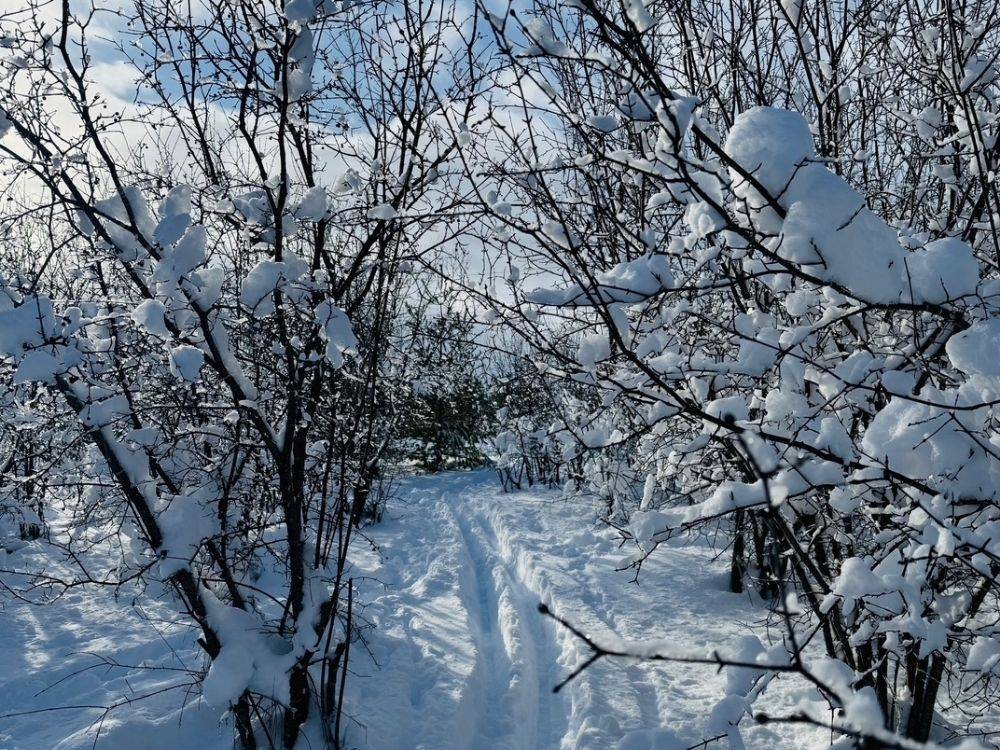 Meaford, ON N4L 1W6,125 Mountain RD