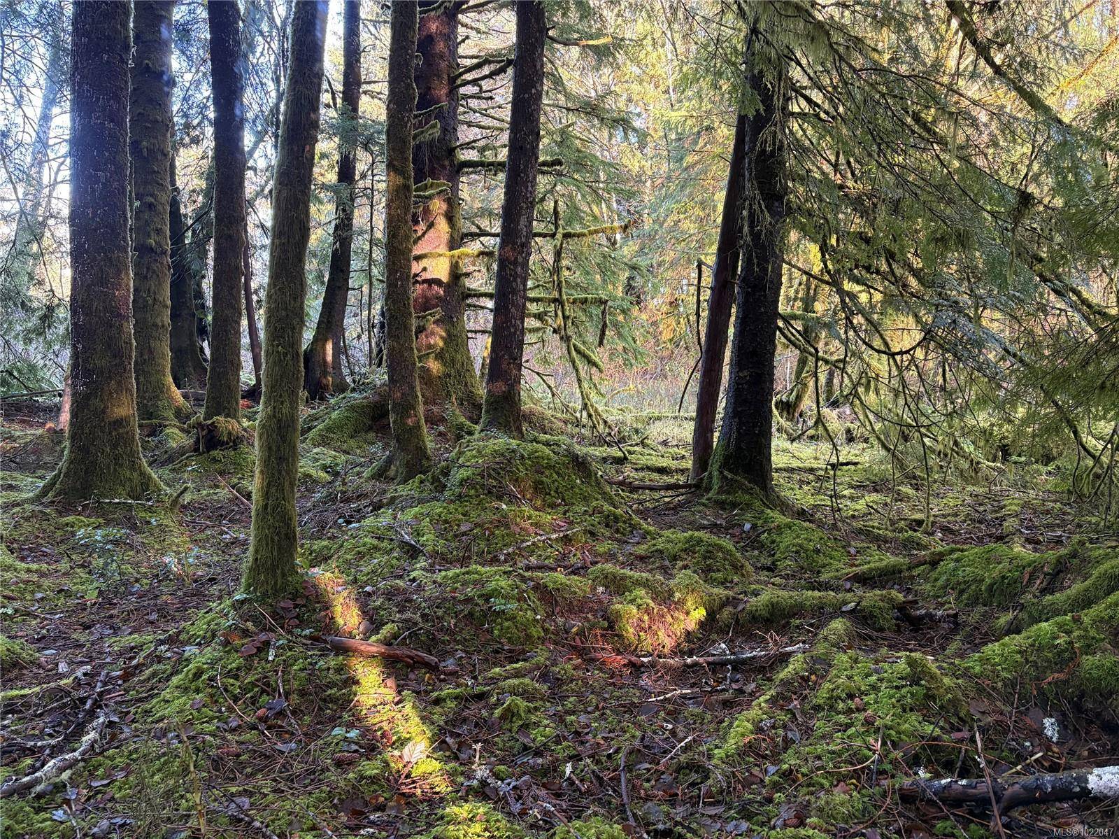 See Remarks, BC V0T 1R0,Lot B Highway 16