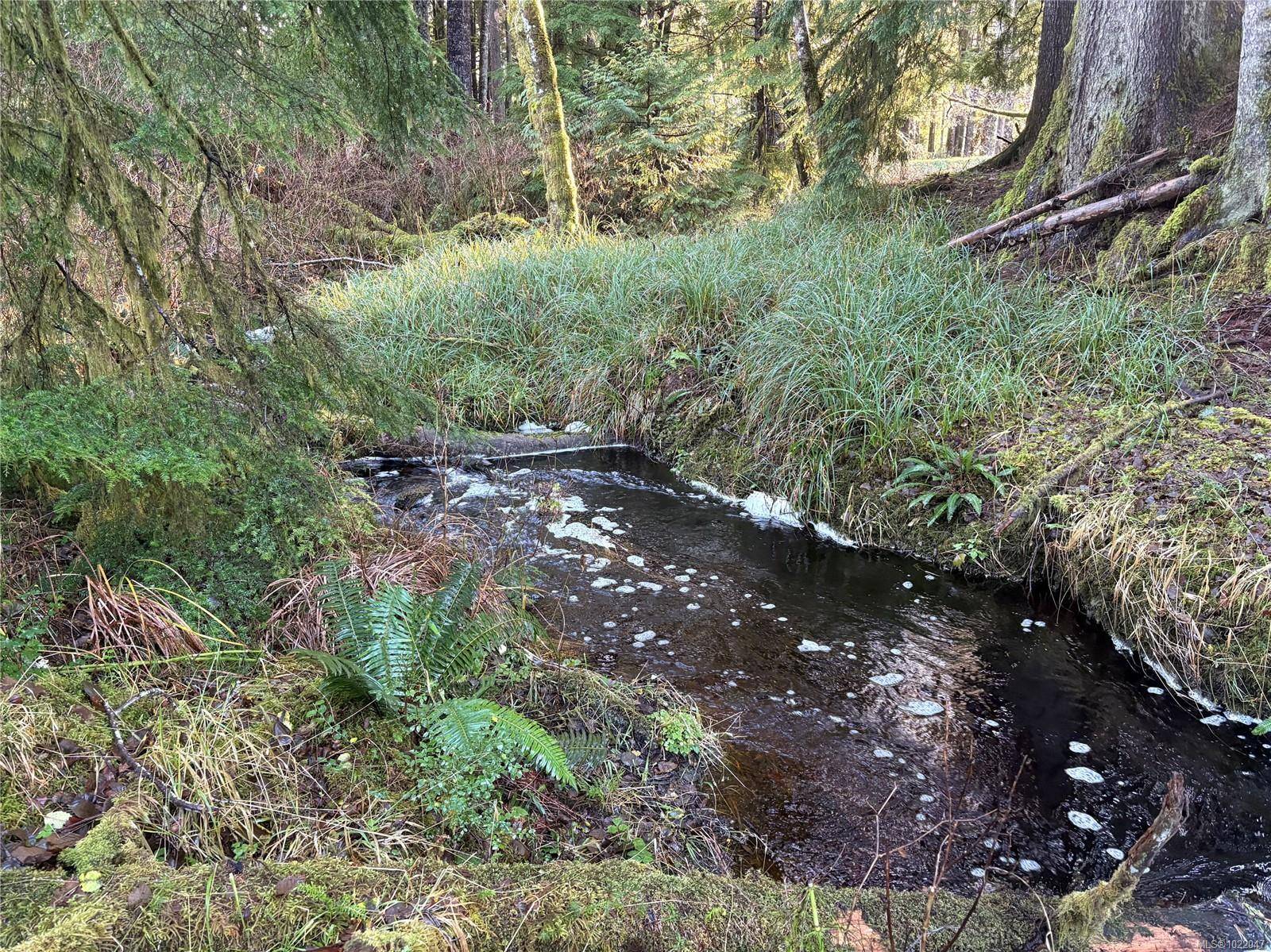 See Remarks, BC V0T 1R0,Lot B Highway 16