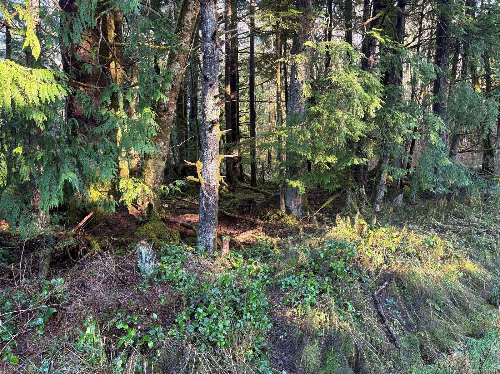 See Remarks, BC V0T 1R0,Lot B Highway 16