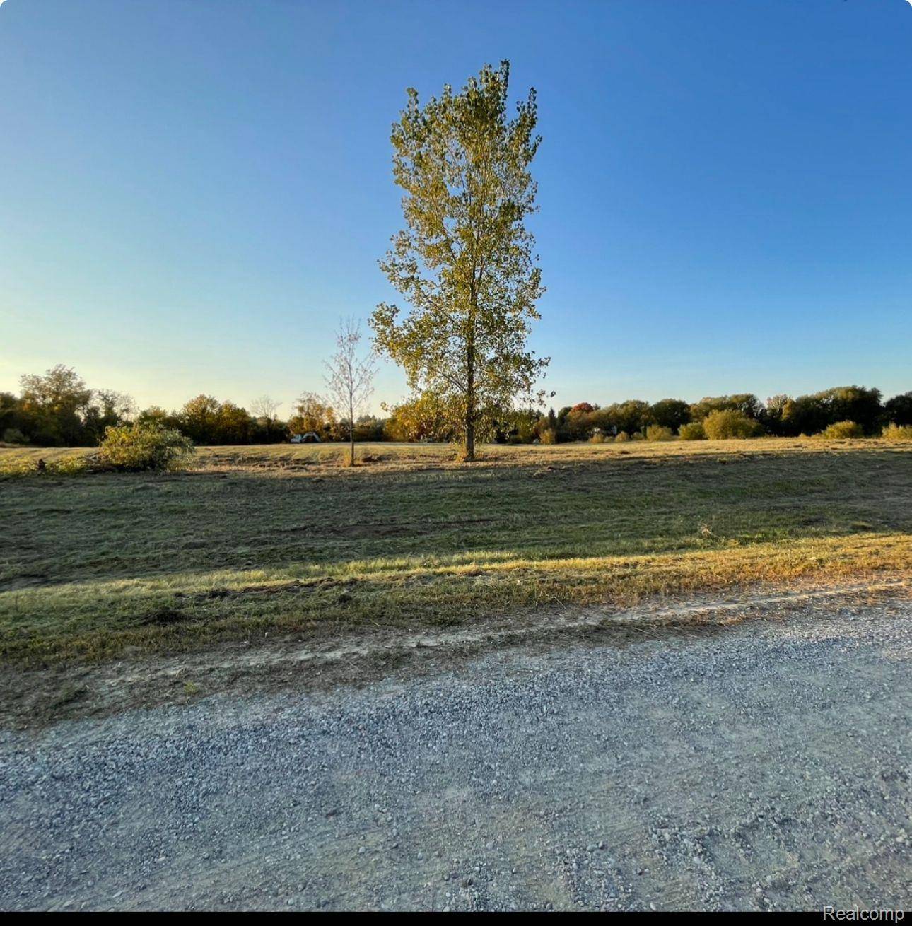 Dryden, MI 48428,Parcel 3 S Creek Ln