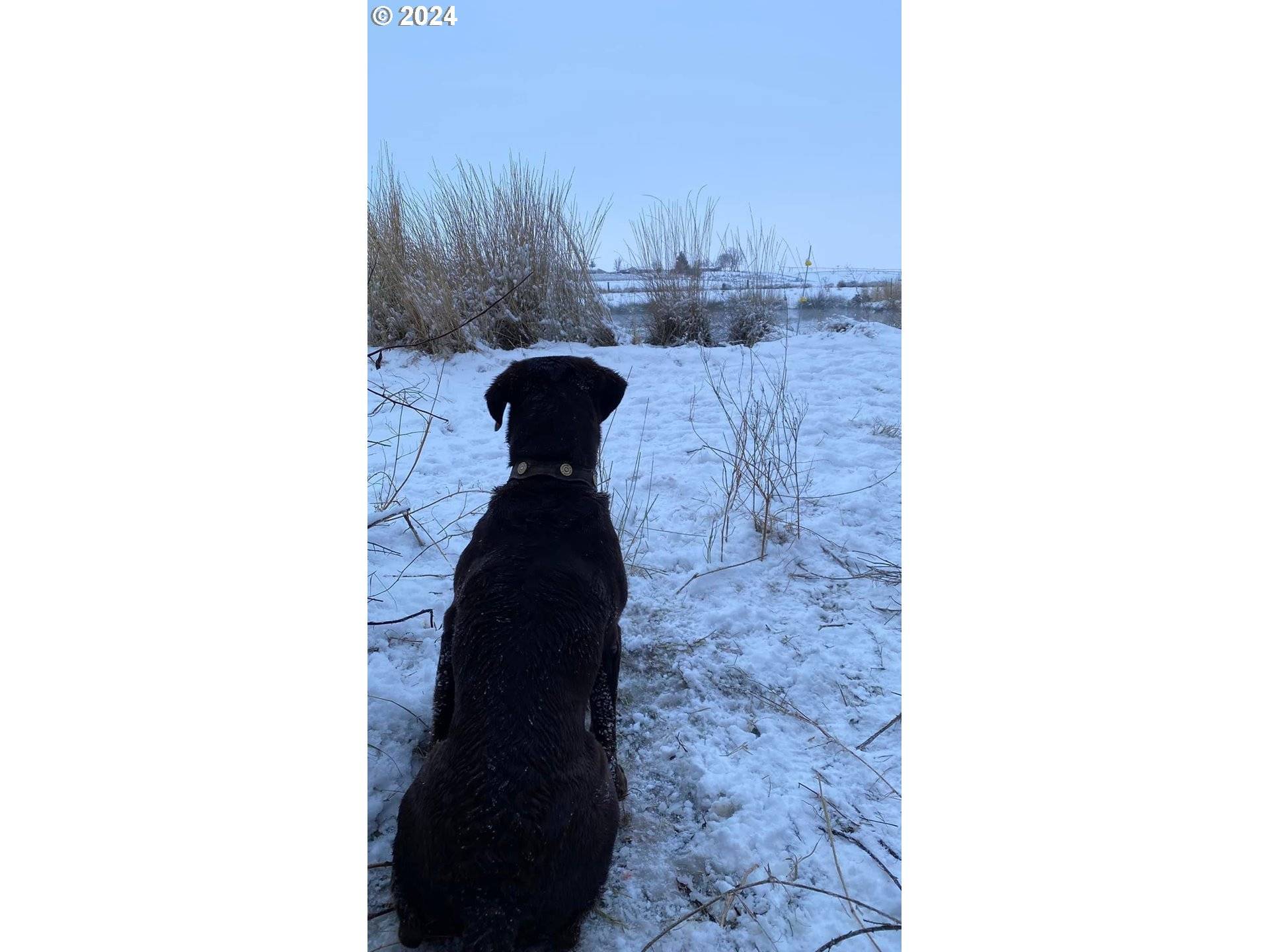 Irrigon, OR 97844,0 Higwhay 730