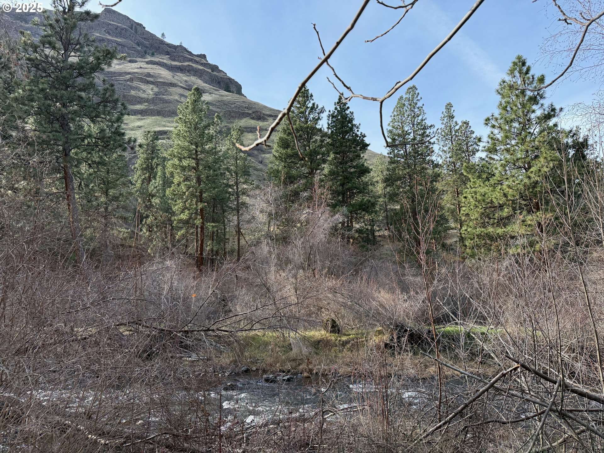 Imnaha, OR 97842,0 Big Sheep Creek RD