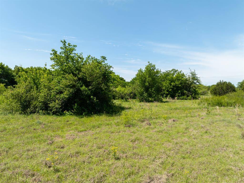 Whitney, TX 76692,TBD Lot 1 FM 933