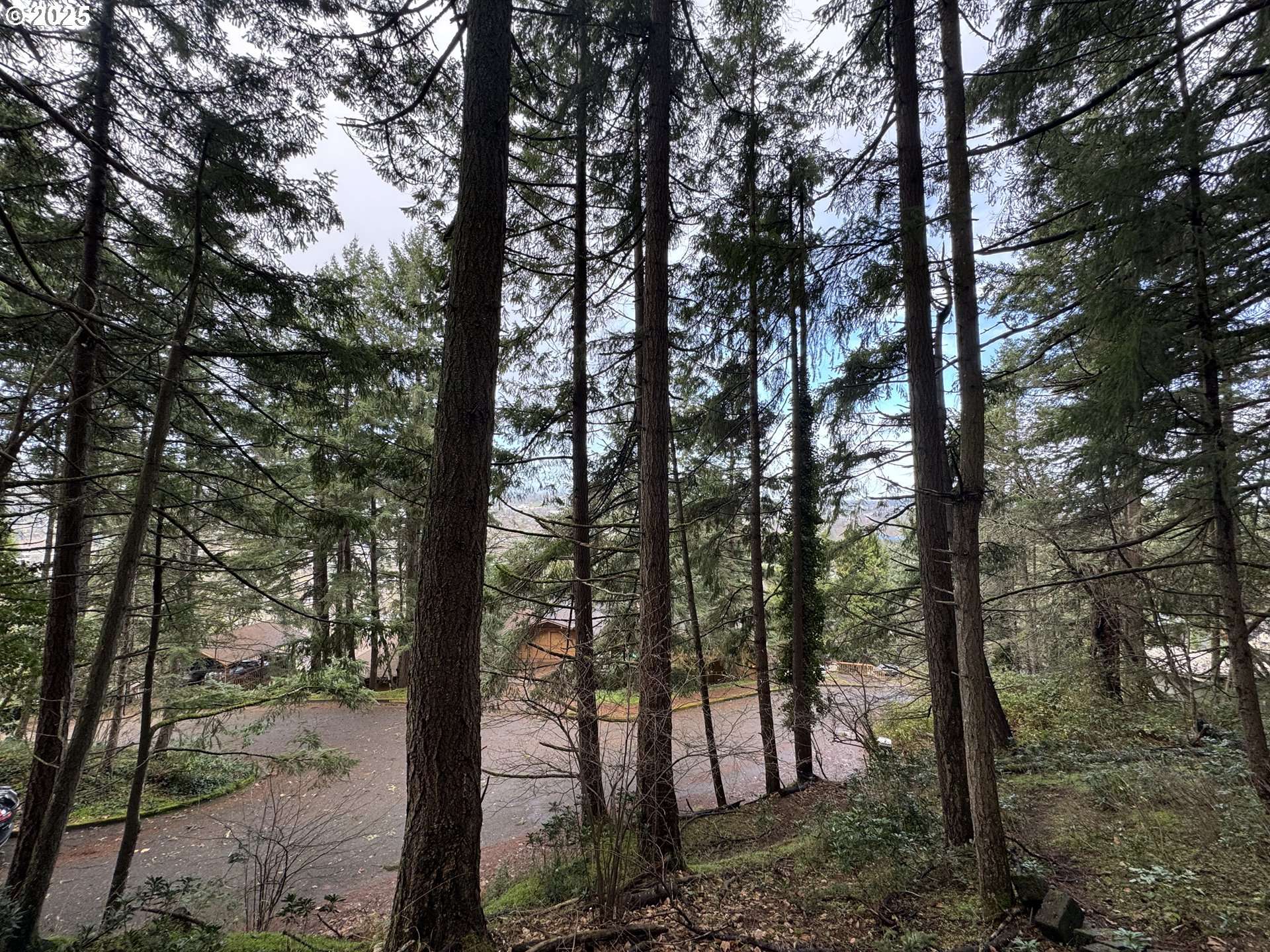 Eugene, OR 97405,3605 EMERALD ST