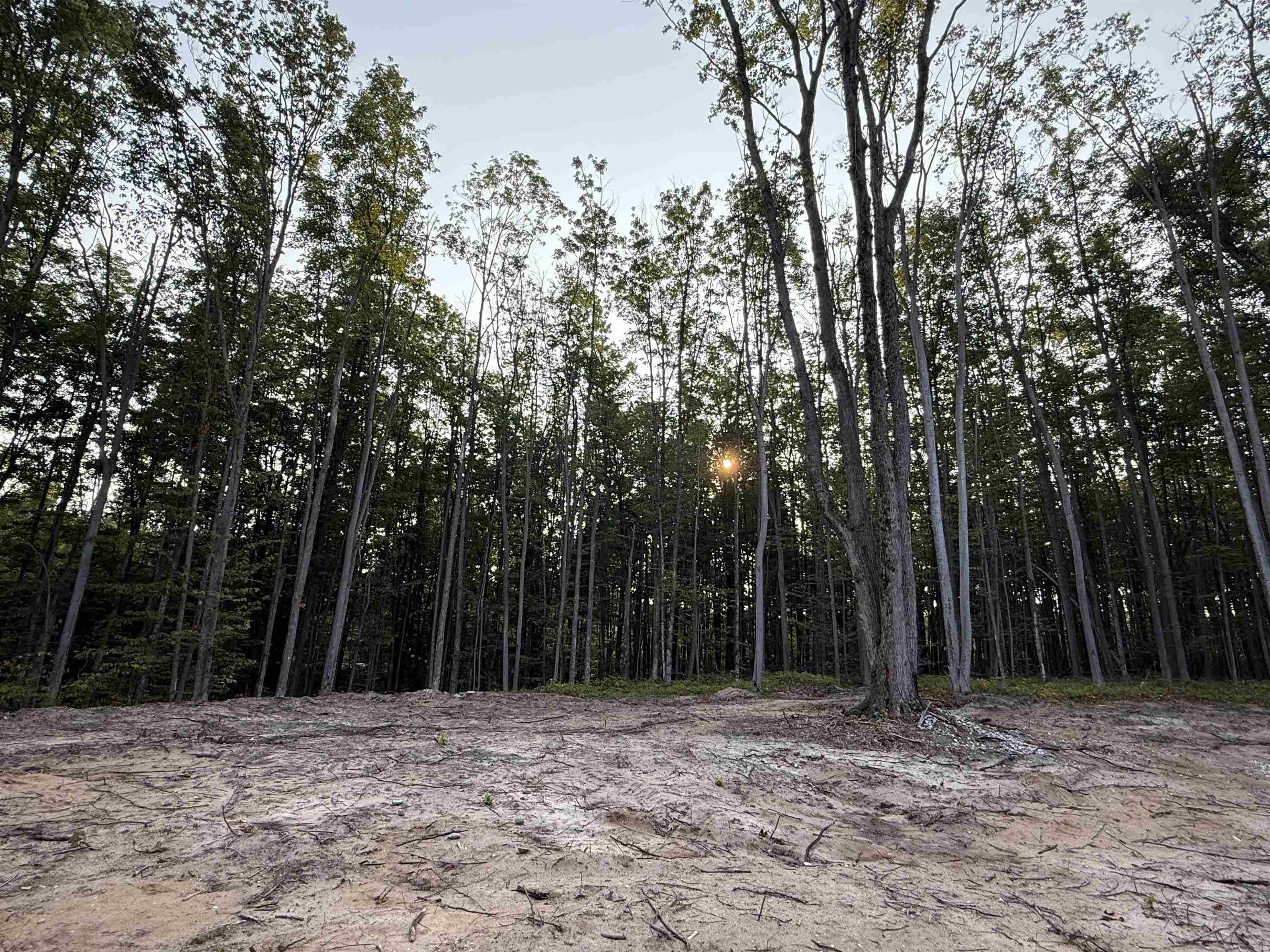 Mancelona, MI 49659,7585 Willowbrook CIR