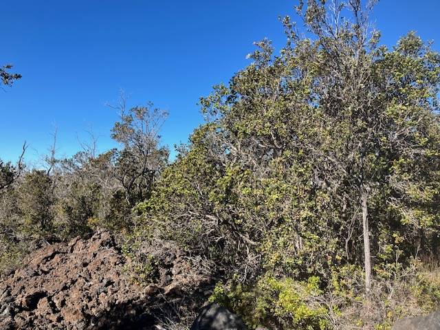 Ocean View, HI 96737,KOA LN