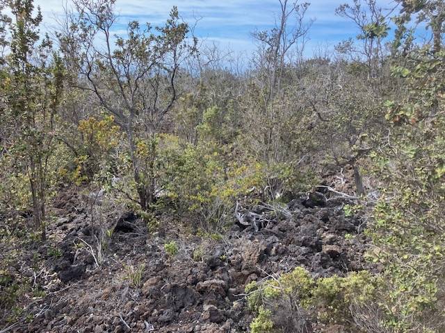 Ocean View, HI 96737,KOA LN