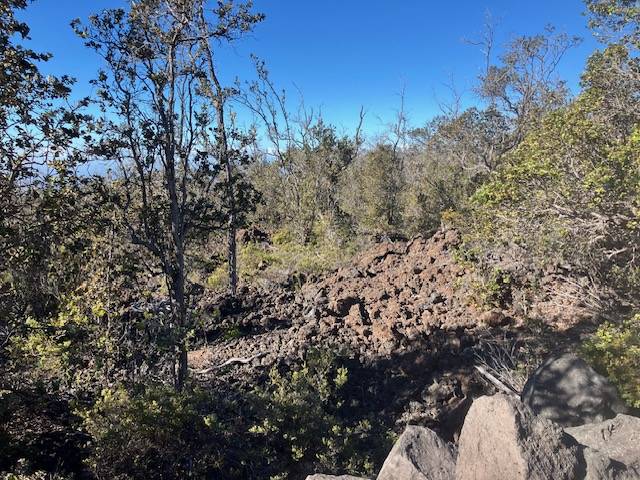 Ocean View, HI 96737,KOA LN