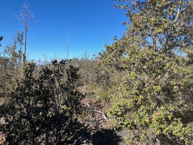 Ocean View, HI 96737,KOA LN