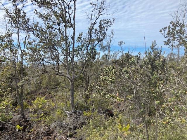 Ocean View, HI 96737,KOA LN