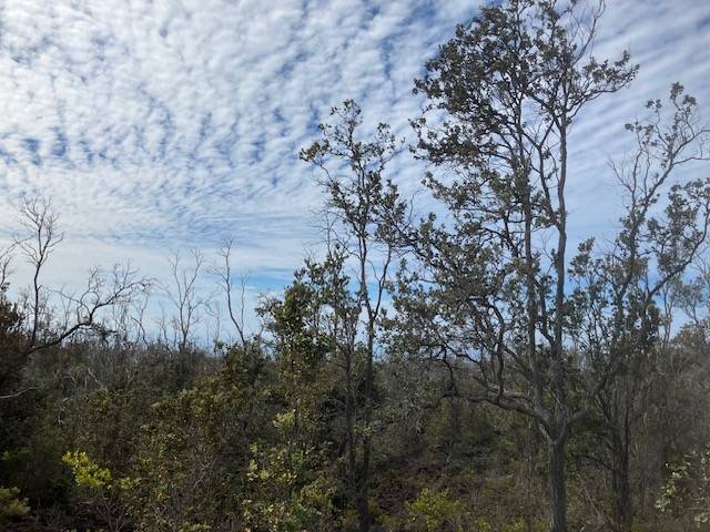 Ocean View, HI 96737,KOA LN