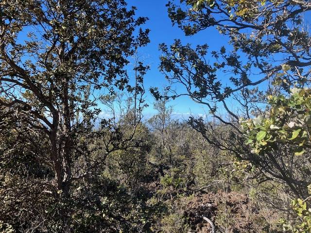 Ocean View, HI 96737,KOA LN